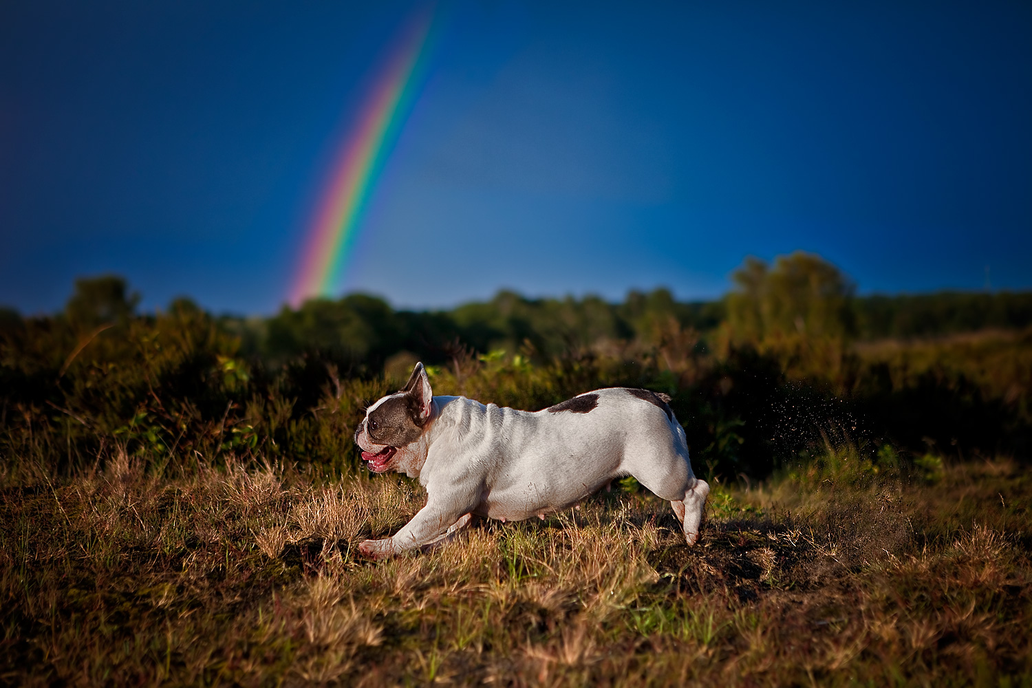 Somewhere under the rainbow