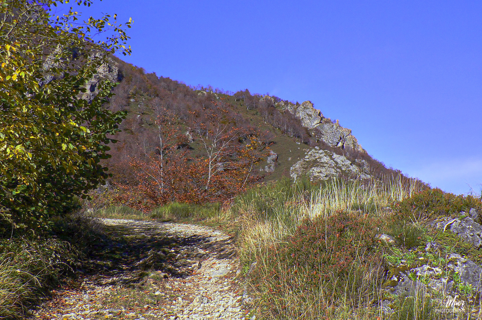 Somiedo 2007. Asturias.