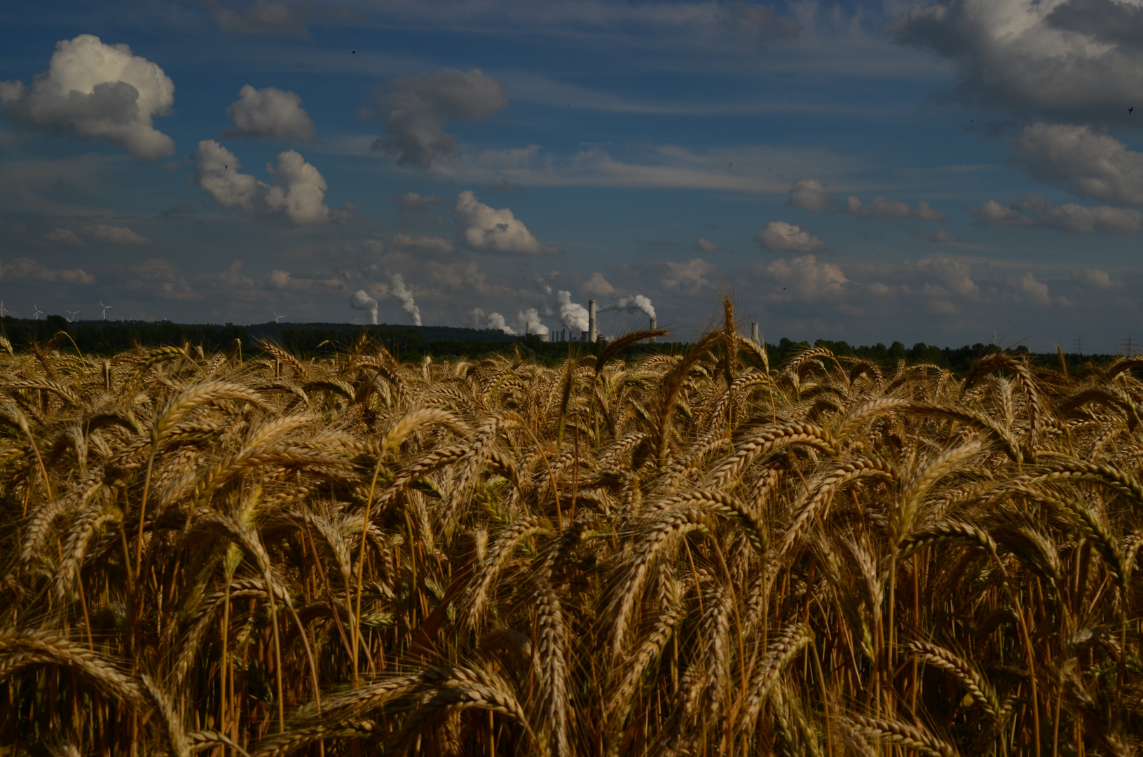 sommer