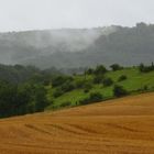 Sommer 07 Südniedersachsen