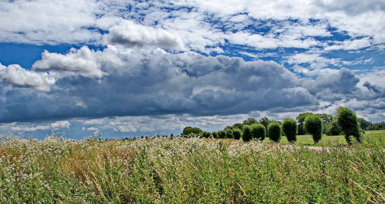 Sommer