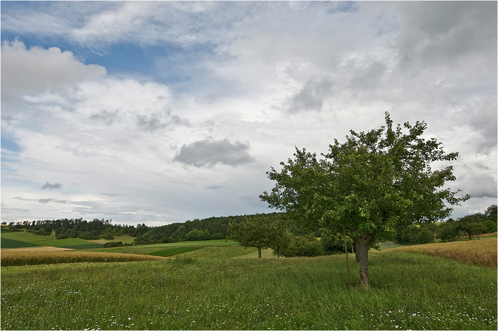 Sommer - 1