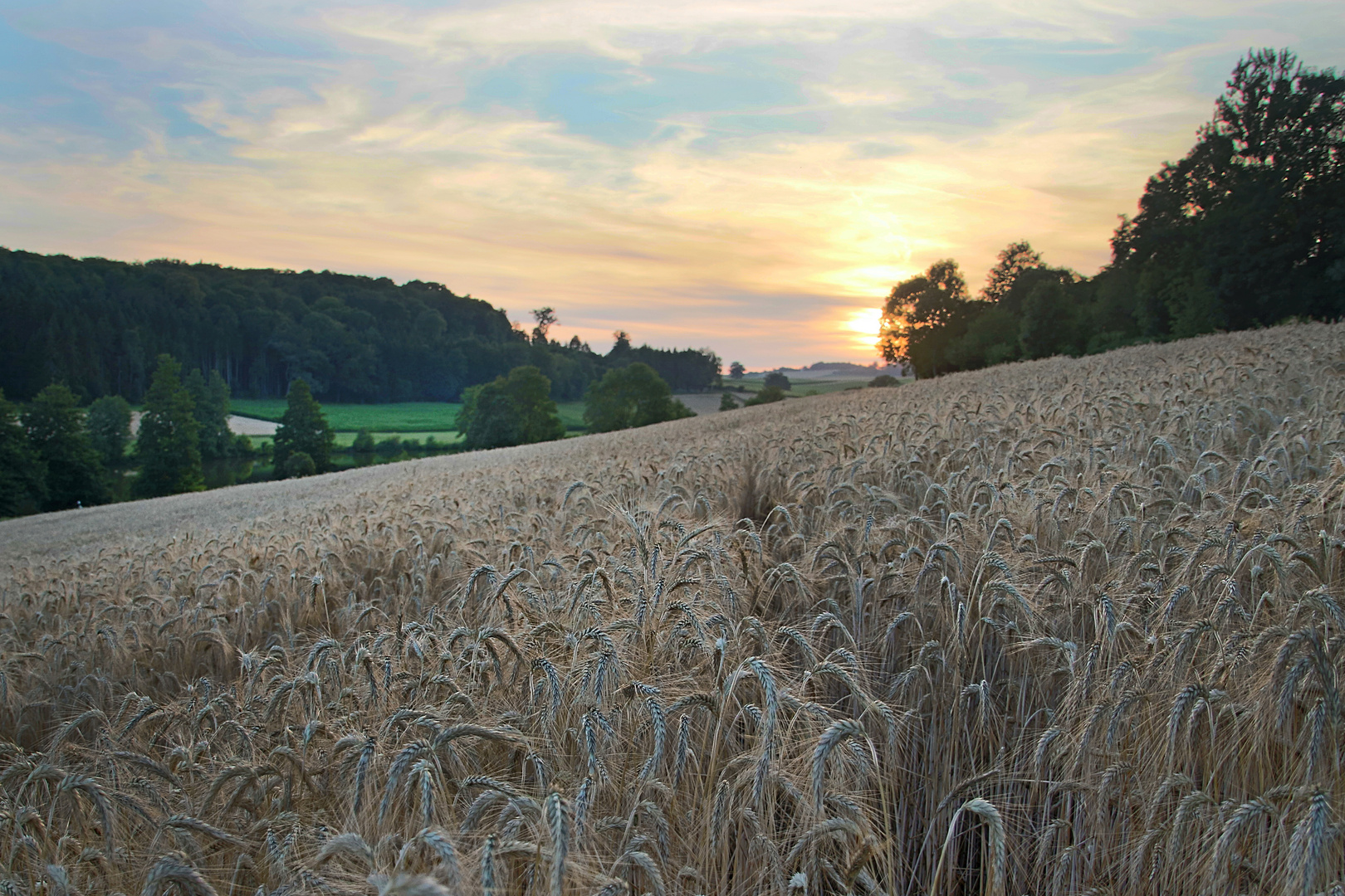 Sommer