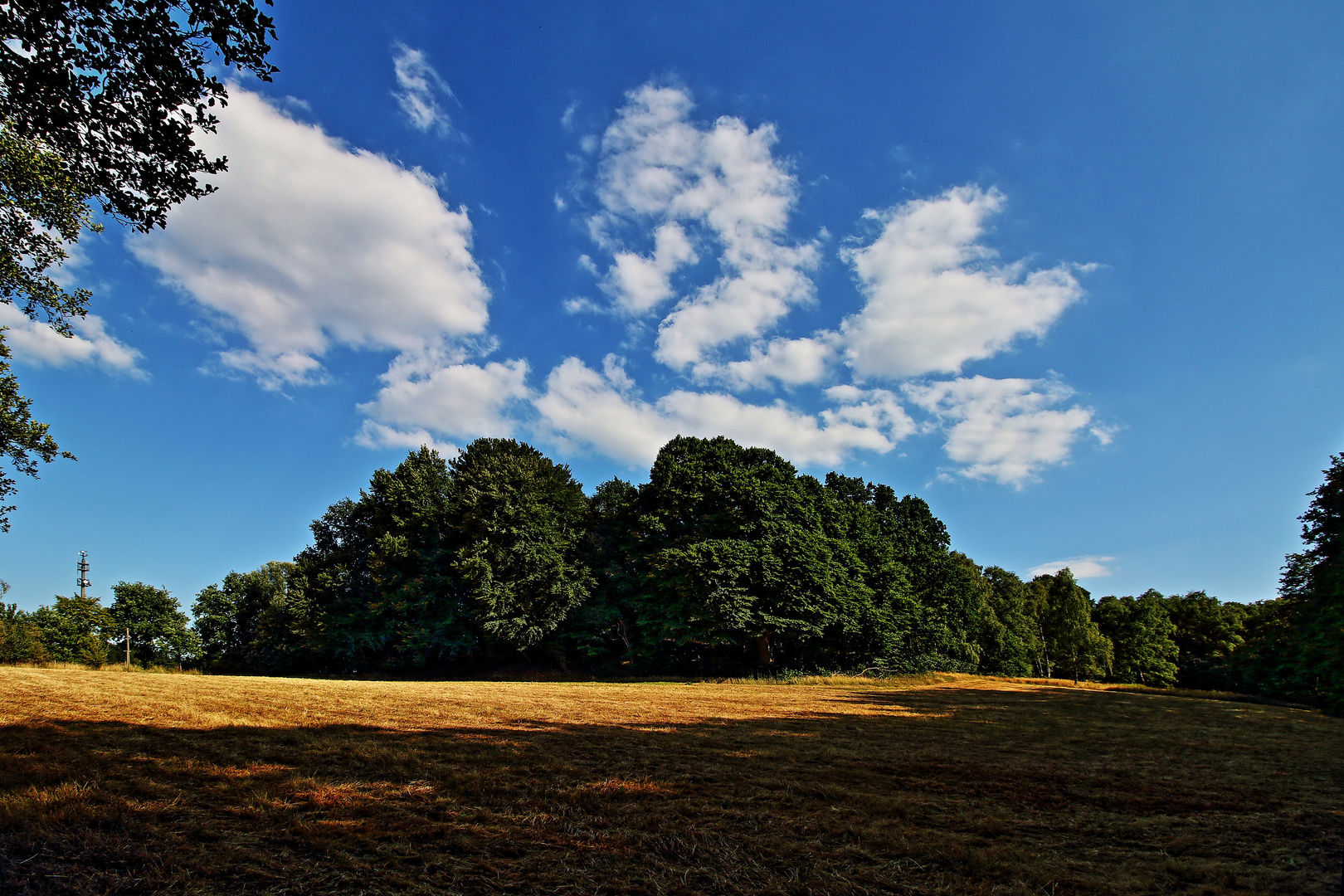 Sommer