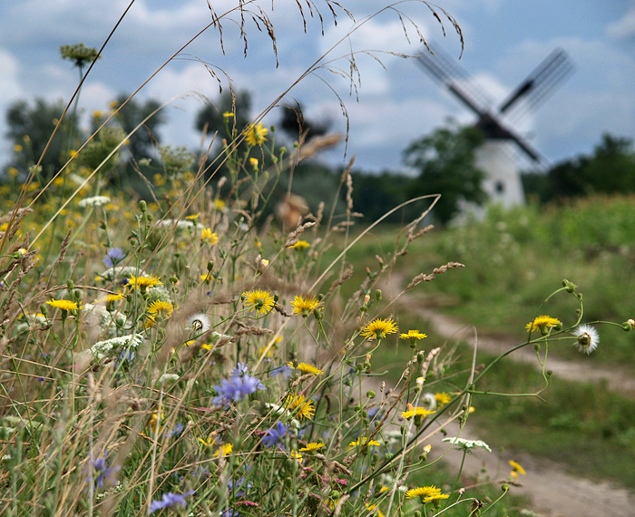 Sommer 2006