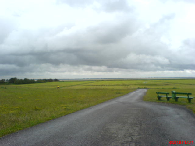 Sommer 2007 auf dem Darß