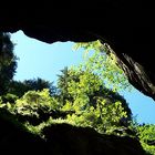 Sommer 2007: Breitachklamm - Bäume und Felsen