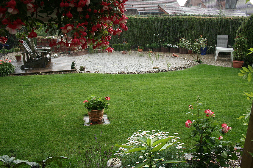 Sommer 2011