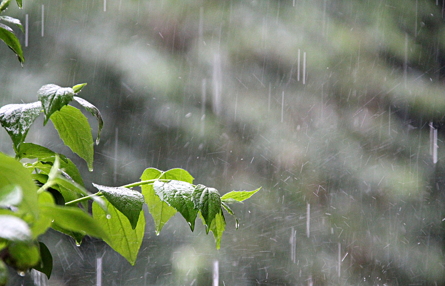 Sommer 2011 in Norddeutschland