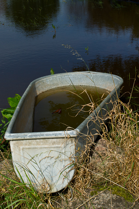 Sommer 2011 - oder die Wanne ist voll