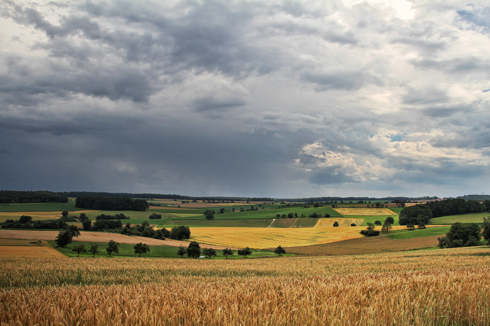 Sommer 2012