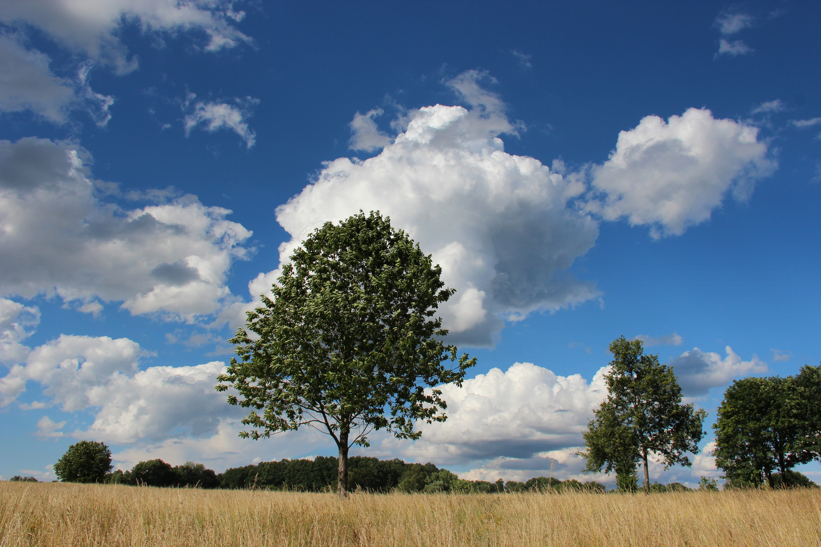 Sommer 2012