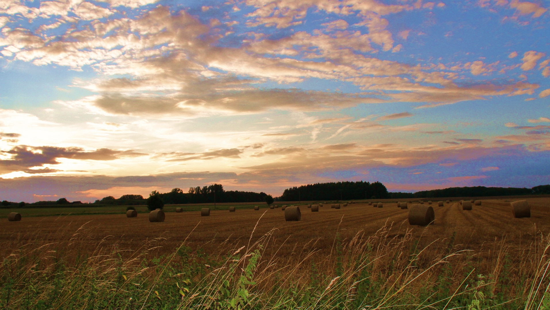 Sommer 2012