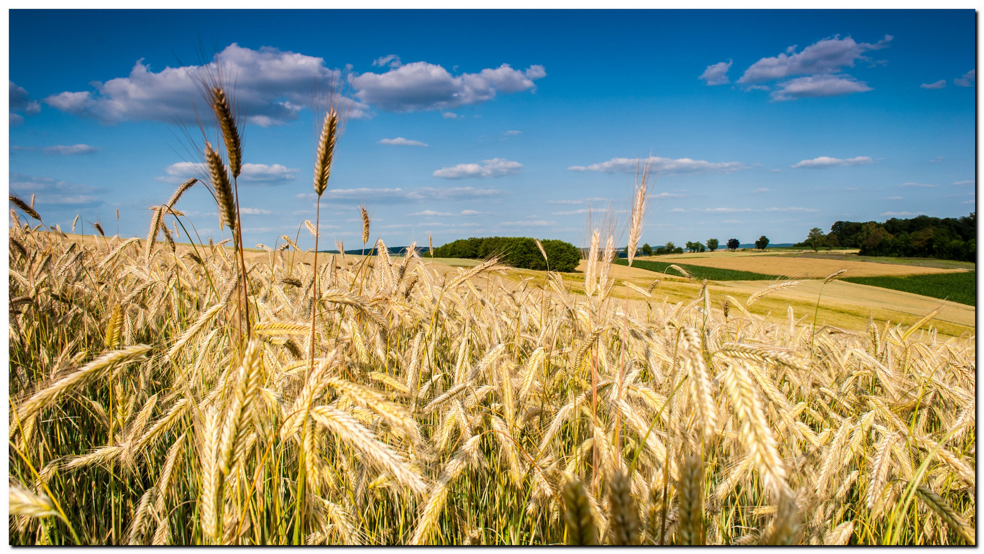 SOMMER 2013