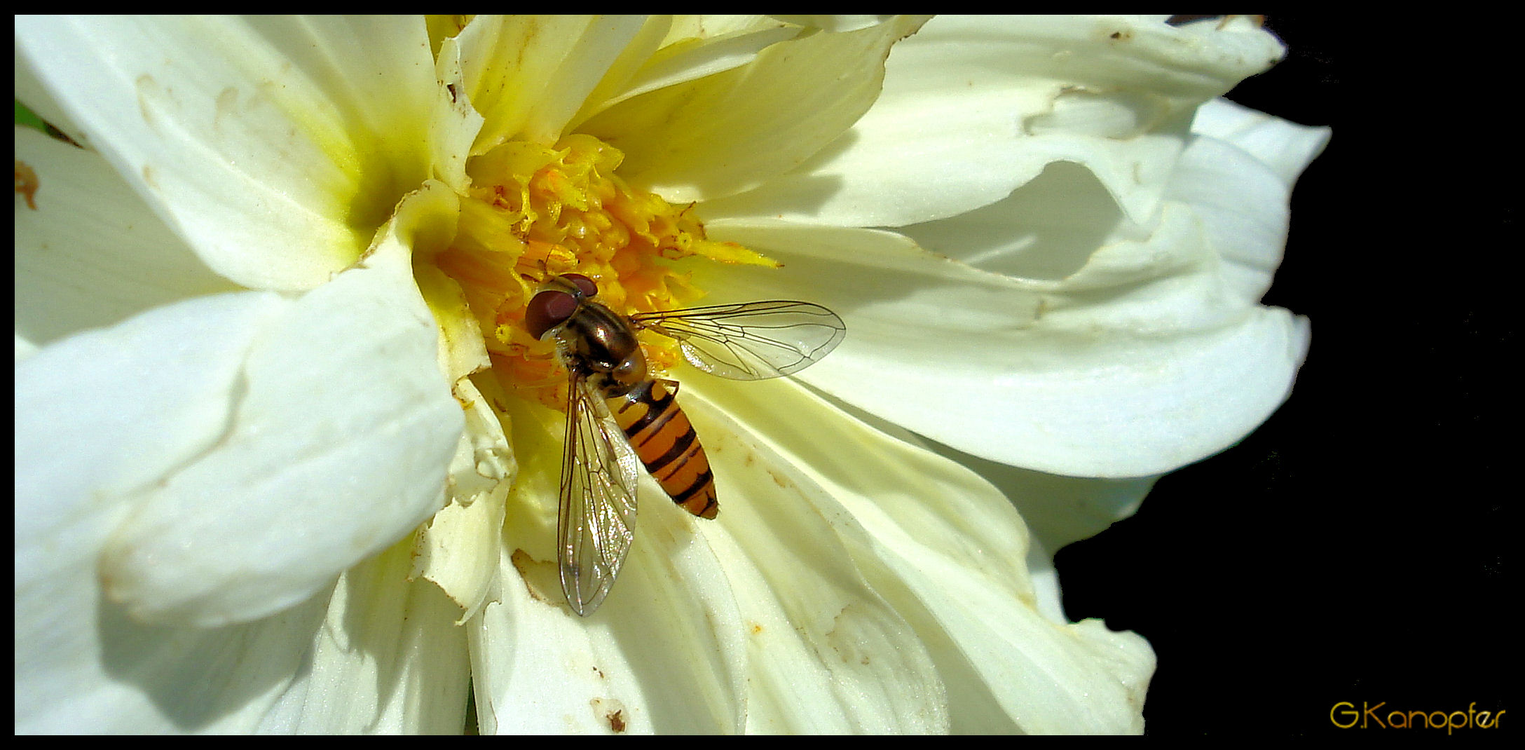 Sommer 2013