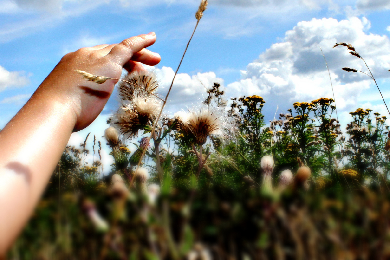 Sommer 2013