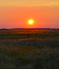 Sommer 2013 in Billerbeck - Münsterland