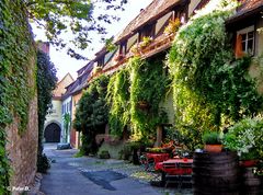 Sommer 2013 in Rothenburg #12