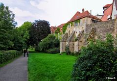 Sommer 2013 in Rothenburg #31