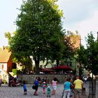 Sommer 2013 in Rothenburg #71