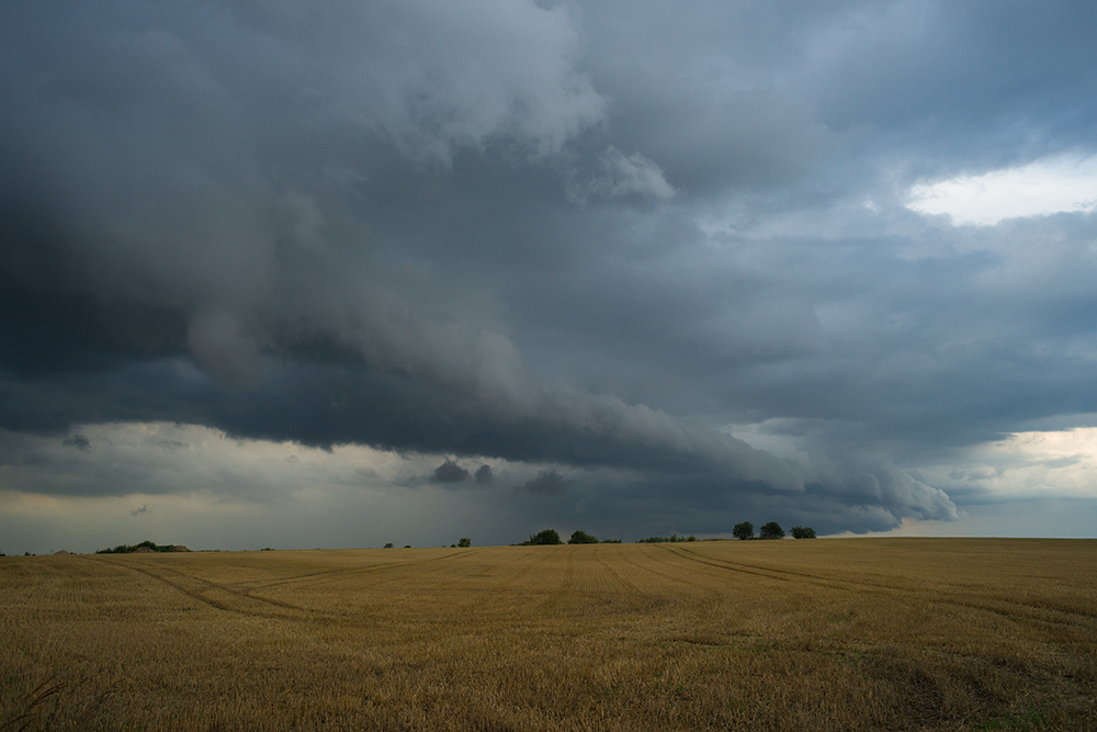 Sommer 2014