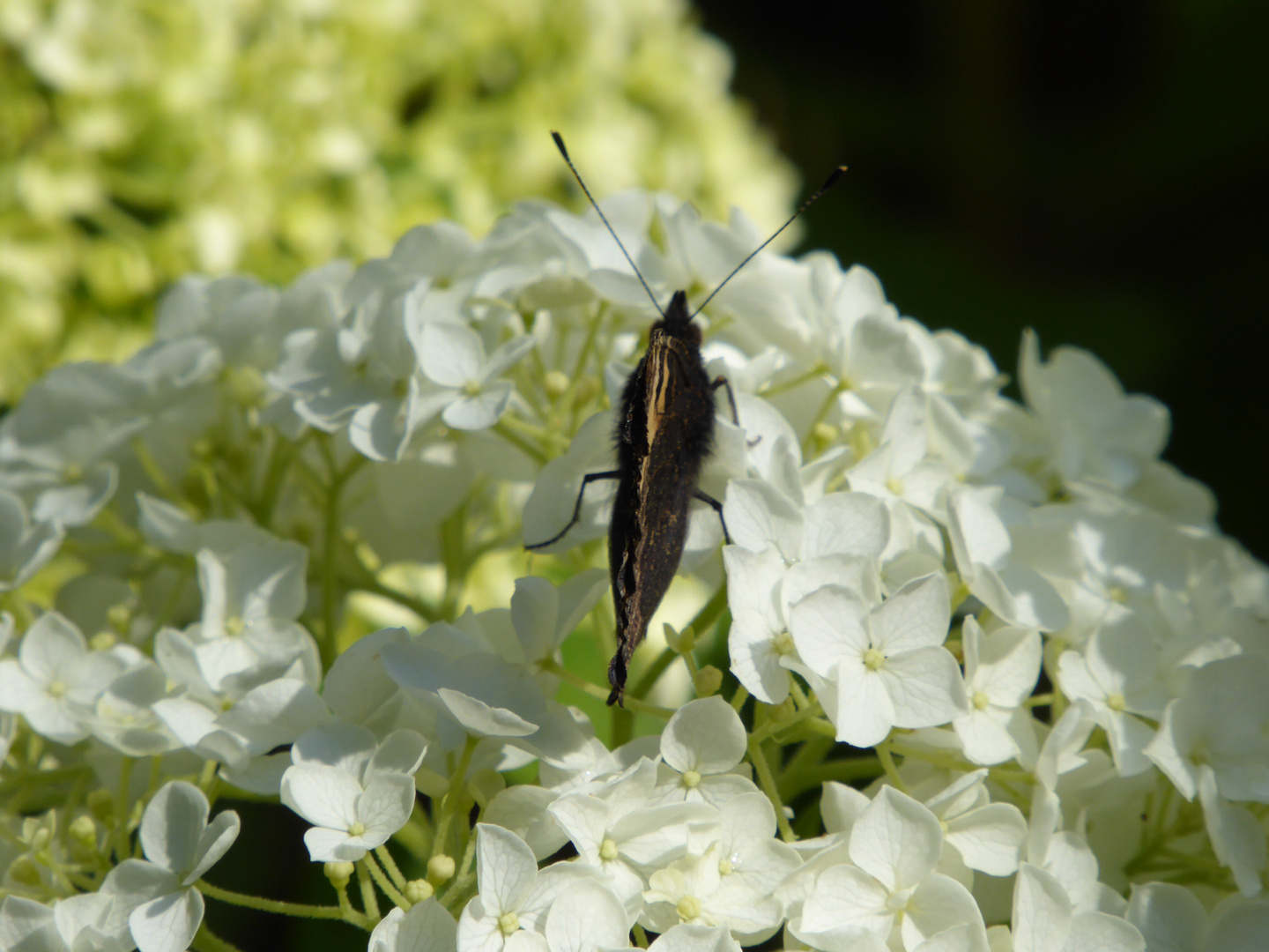 Sommer 2014