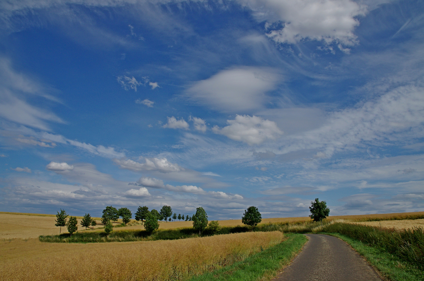 Sommer 2015