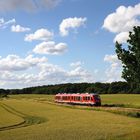 Sommer 2016 im Kreis Plön