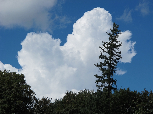 Sommer 2016: Lachen-Theinselberg - Wolkenspiel