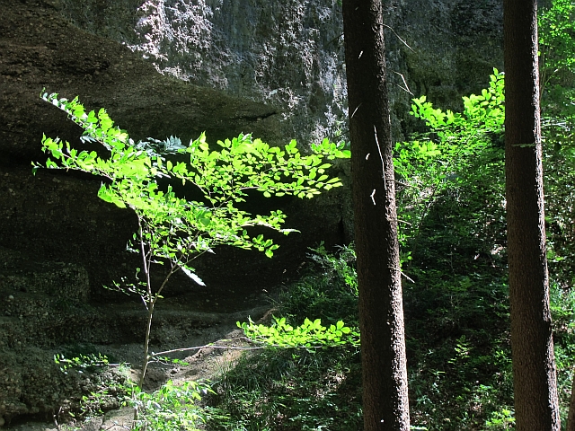 Sommer 2016: Obergünzburg-Liebenthann - Teufelsküche