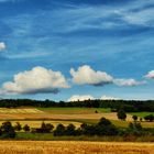 Sommer 2017 im Solling