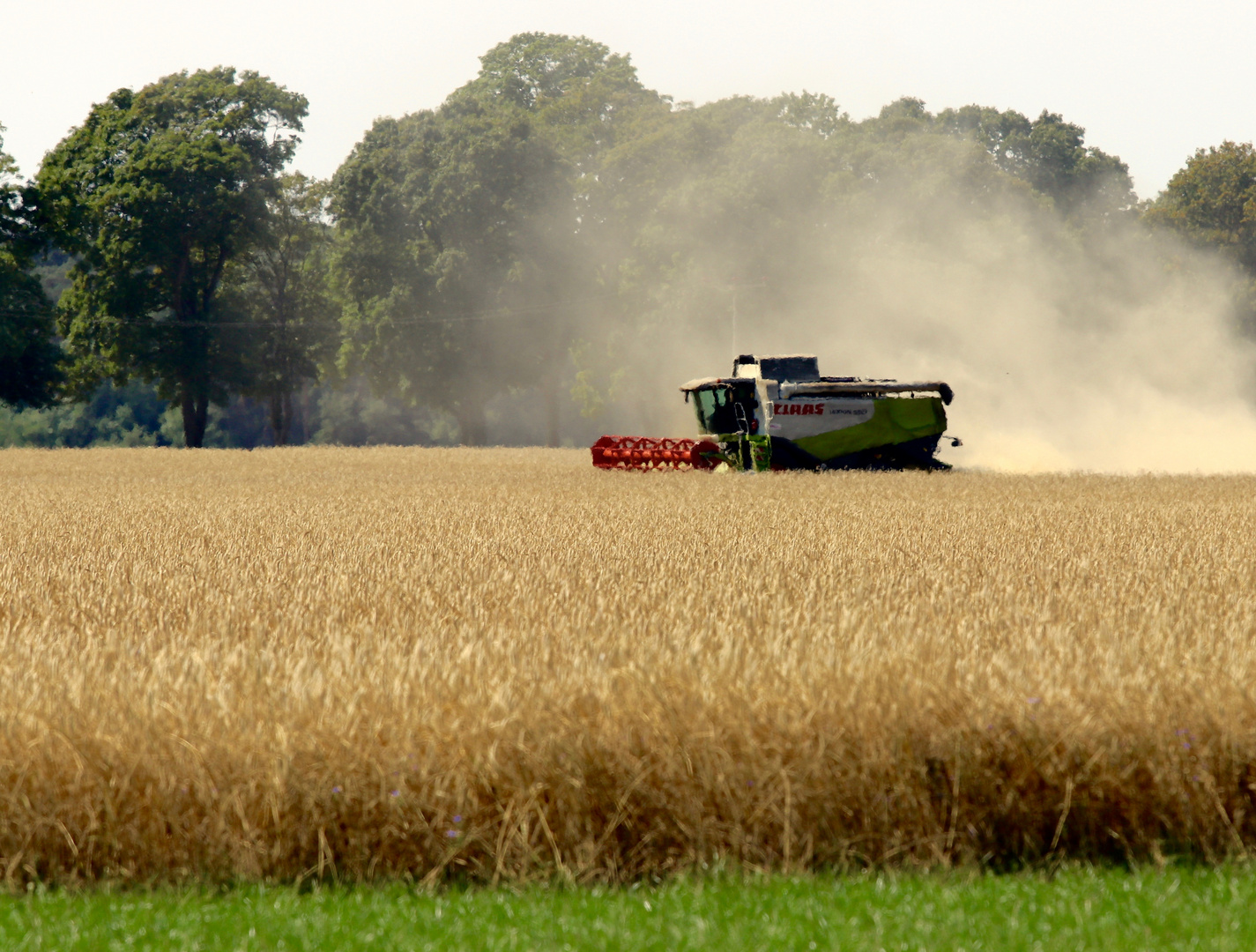 Sommer 2018 Foto & Bild jahreszeiten, landschaften, natur Bilder