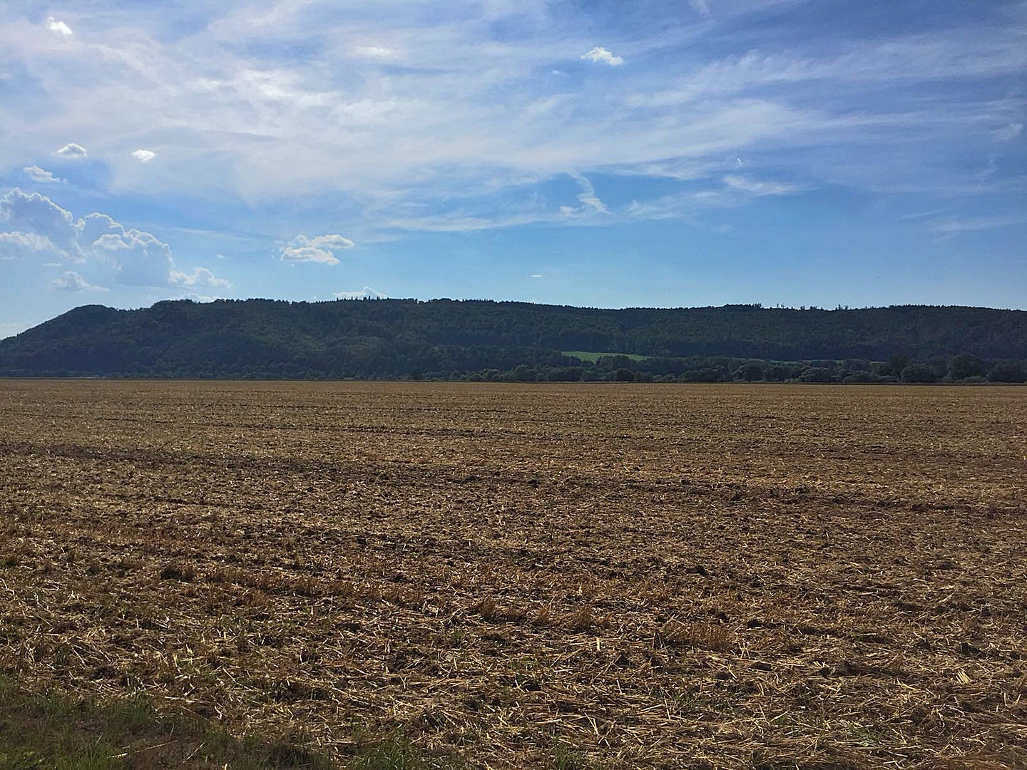 Sommer 2018 Foto & Bild deutschland, europe, niedersachsen Bilder auf