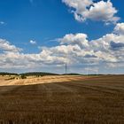 Sommer 2018, Licht-Schattenspiel gestern Nachmittag bei 38 Grad vor der Haustür, was...