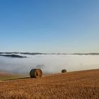 Sommer 2018.... Nebelrollen, nach dem Regen am 2.08.18... 