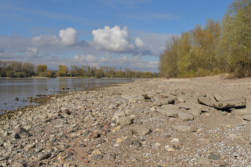 Sommer 2018: Viel Strand, wenig Rhein 01