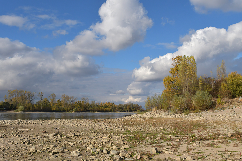 Sommer 2018: Viel Strand, wenig Rhein 02