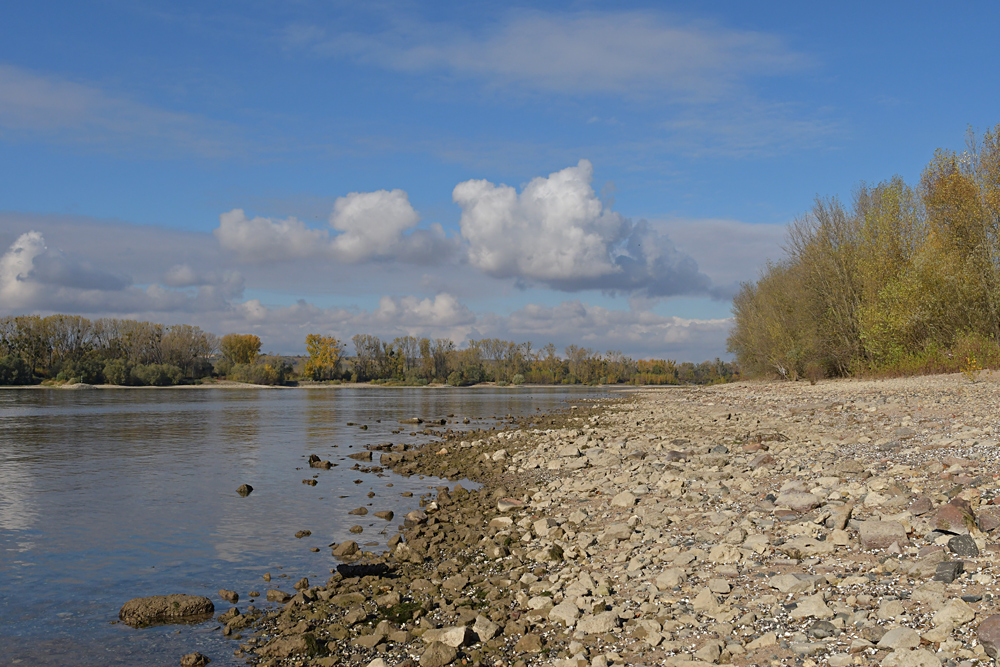 Sommer 2018: Viel Strand, wenig Rhein 03