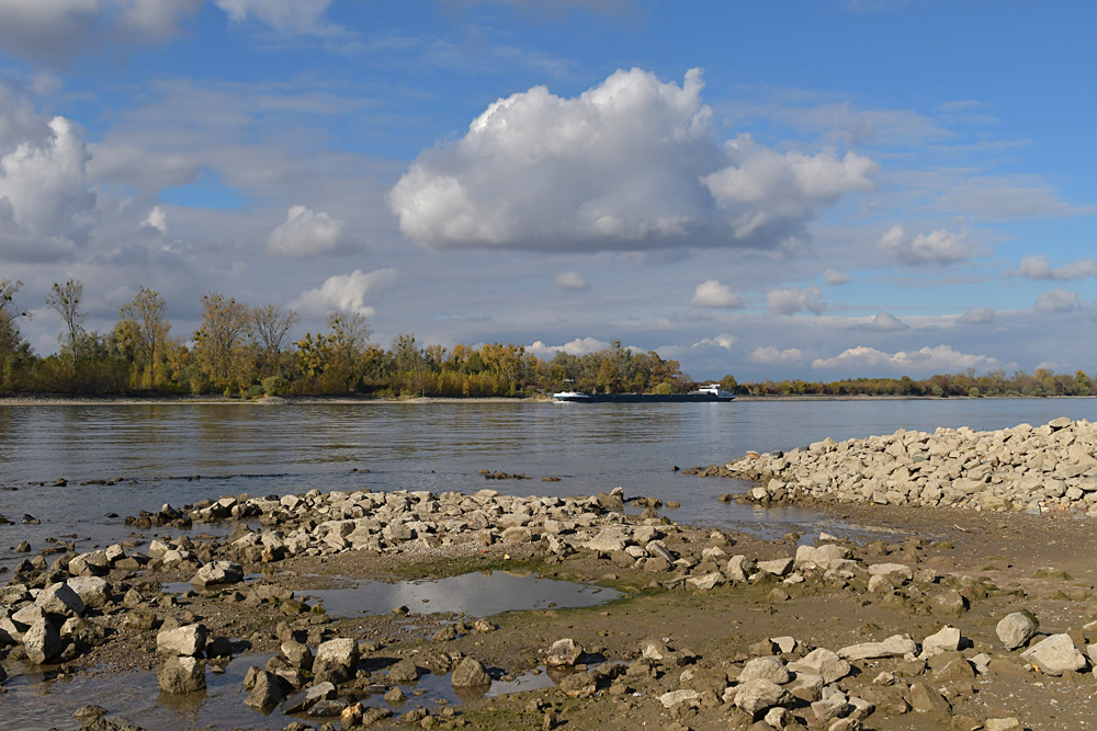 Sommer 2018: Viel Strand, wenig Rhein 04