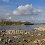 Sommer 2018: Viel Strand, wenig Rhein 04