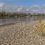 Sommer 2018: Viel Strand, wenig Rhein 06