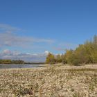 Sommer 2018: Viel Strand, wenig Rhein 07