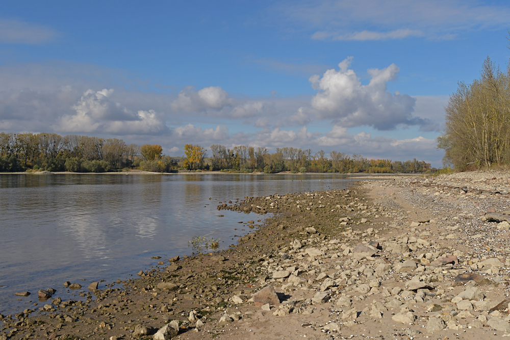 Sommer 2018: Viel Strand, wenig Rhein 08