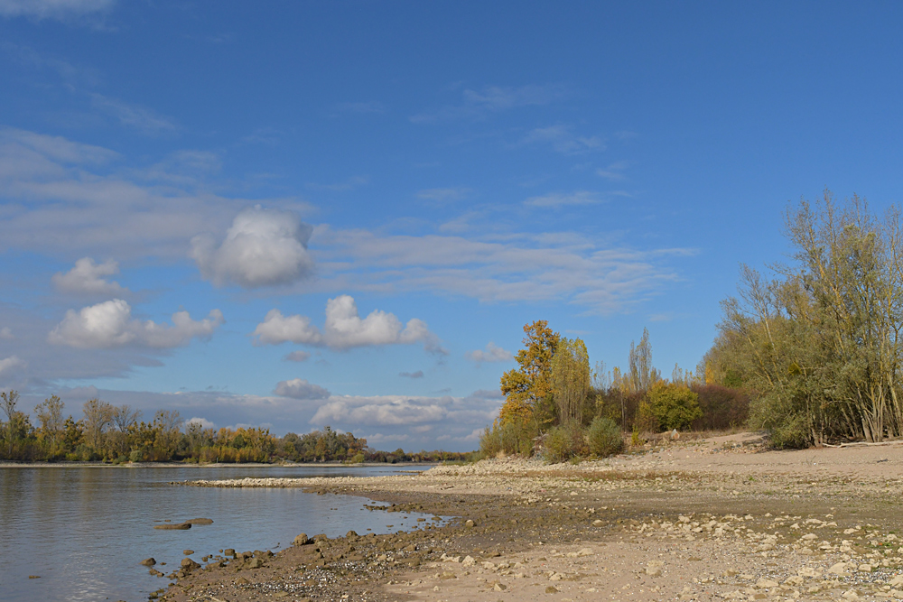 Sommer 2018: Viel Strand, wenig Rhein 09