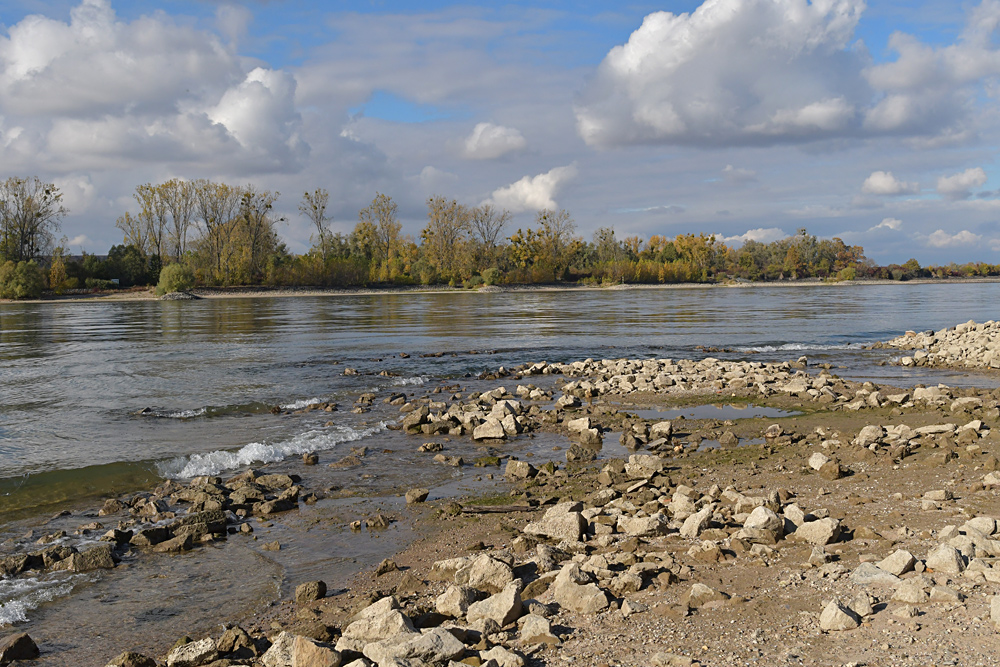 Sommer 2018: Viel Strand, wenig Rhein 10