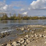 Sommer 2018: Viel Strand, wenig Rhein 10