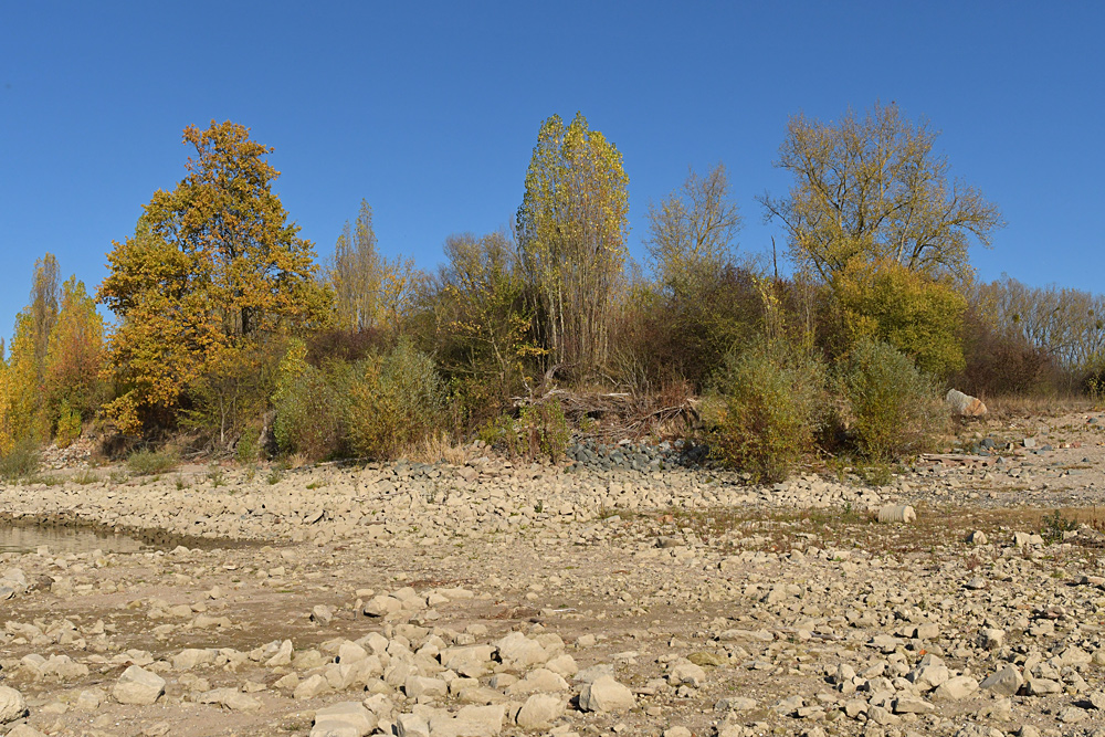 Sommer 2018: Viel Strand, wenig Rhein 12