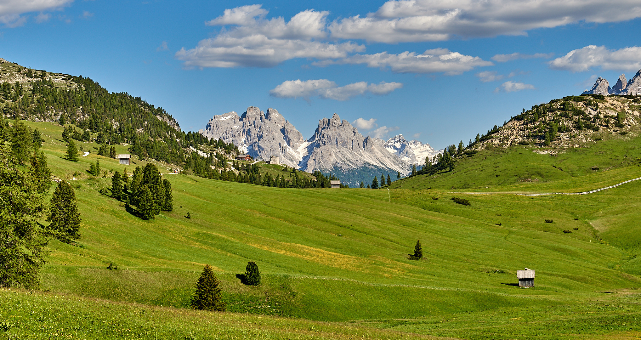 Sommer 2020 auf der Plätzwiese, sie ist eine der schönsten Hochalmen in den Dolomiten.