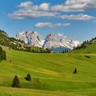 Sommer 2020 auf der Plätzwiese, sie ist eine der schönsten Hochalmen in den Dolomiten.