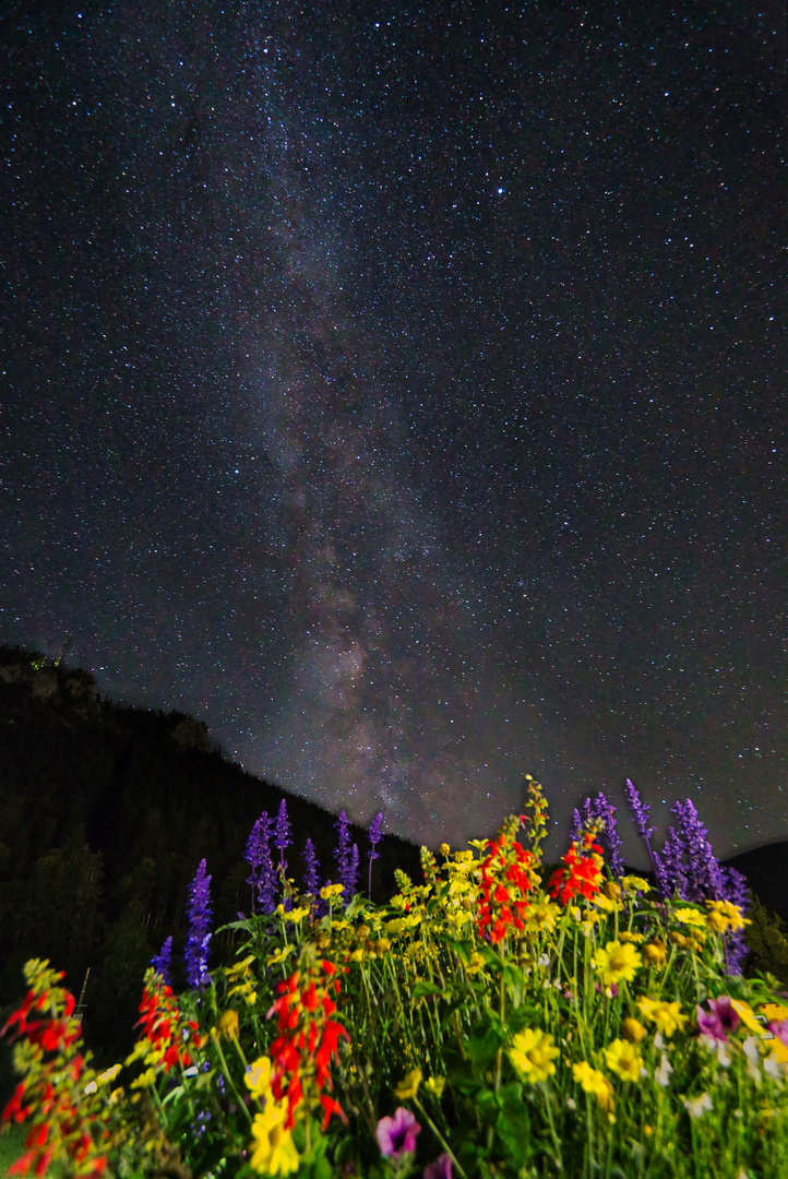 Sommer 2020 meine erste Milky Way